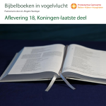Bijbelboeken in vogelvlucht