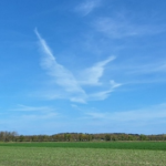 2026 vogel in de lucht