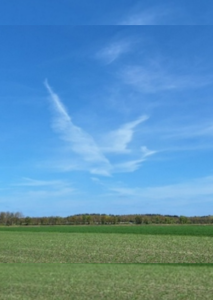 2026 vogel in de lucht